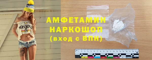стаф Аркадак