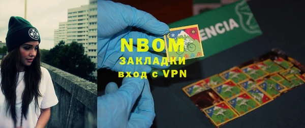 стаф Аркадак
