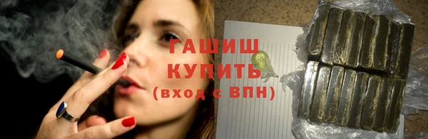 стаф Аркадак