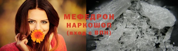 стаф Аркадак