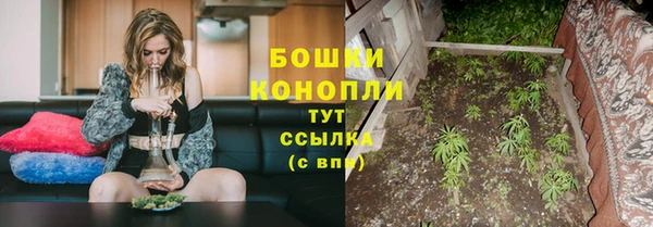 трава Армянск