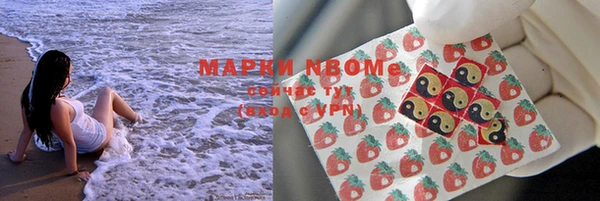стаф Аркадак