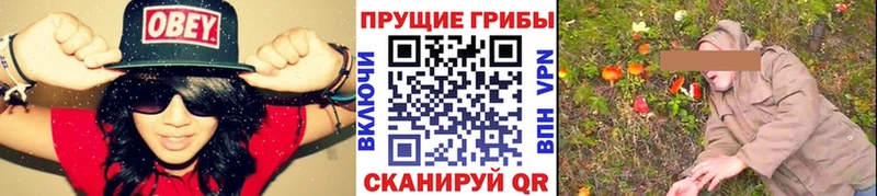 гидра вход  Темников  Псилоцибиновые грибы мухоморы 